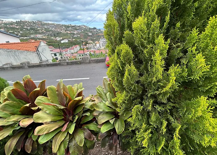 Pico Da Torre * Câmara de Lobos