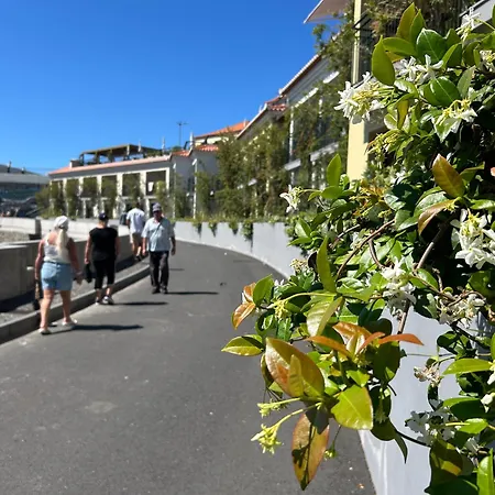 Apartment Pico Da Torre Camara de Lobos