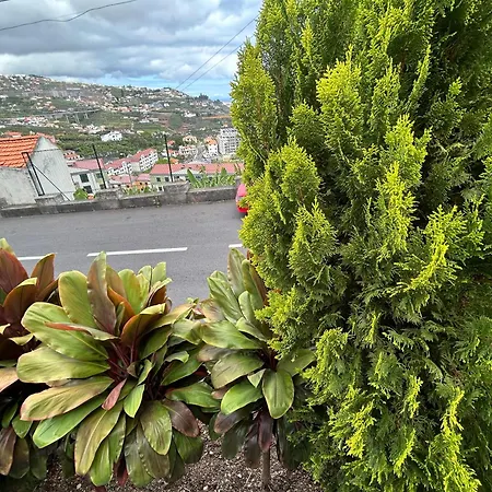 Pico Da Torre * Camara de Lobos