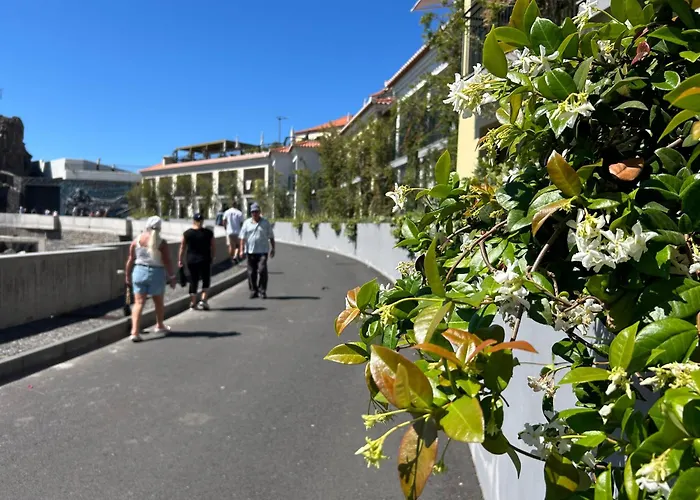 Appartamento Pico Da Torre Câmara de Lobos